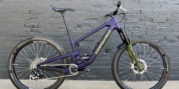 Is the Demand for Customization Driving Industry Innovation?